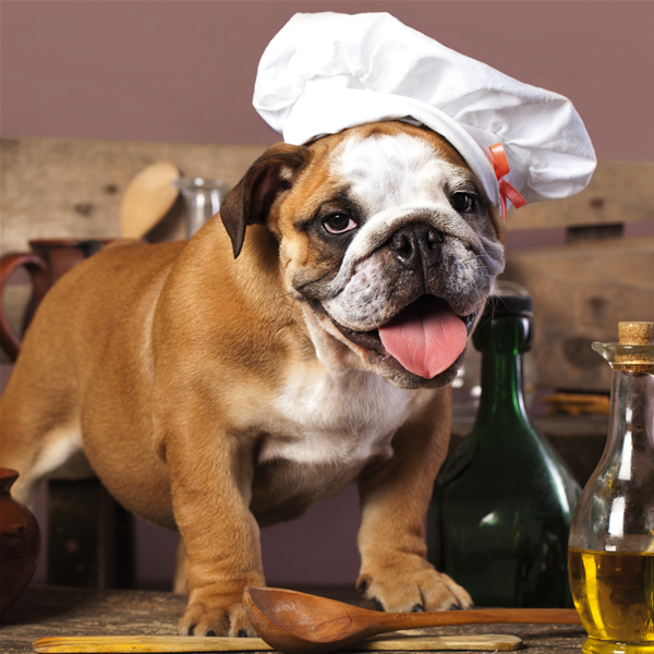 Модерна италианска принт картина, DOG CHEF от Pintdecor