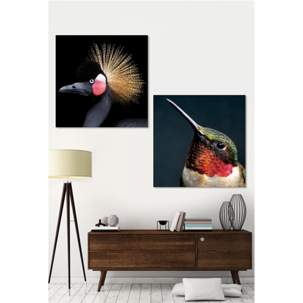Модерна италианска картина, UCCELLO CON la CRESTA от Pintdecor