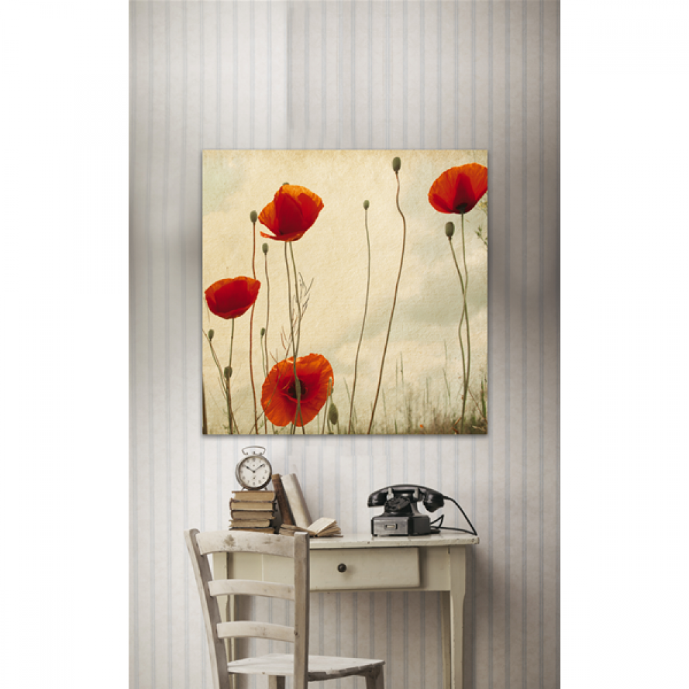 Модерна принт картина за стена, PAPAVERI от Pintdecor