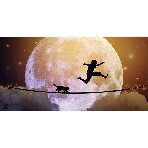 SALTELLANDO sulla LUNA - Пано за стена