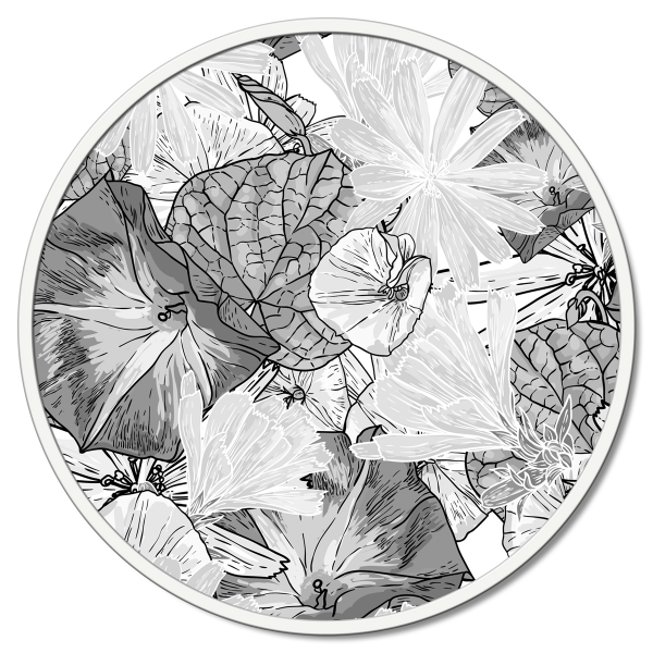 DISEGNO DELLA NATURA 