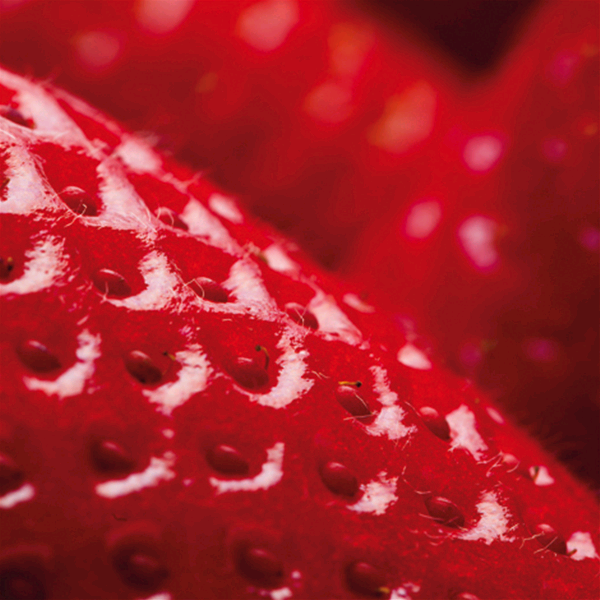 MACRO FRAGOLA - Съвременна принт картина