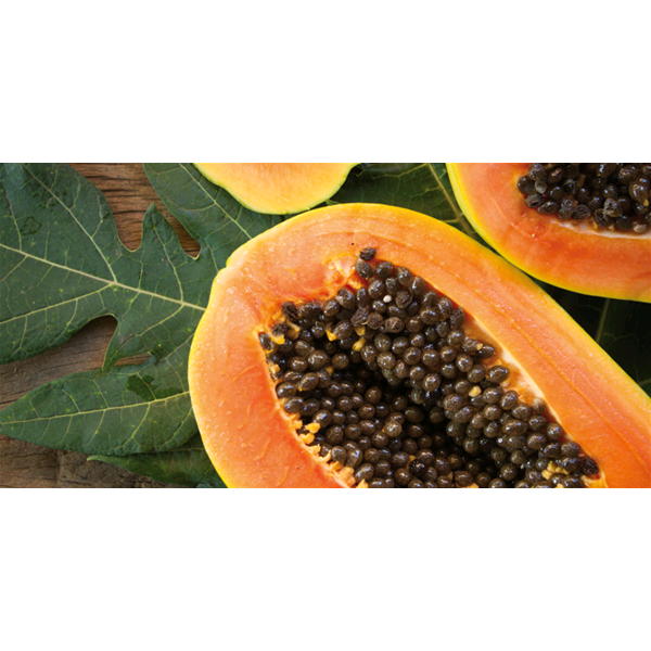 PAPAYA - Италианско пано за стена