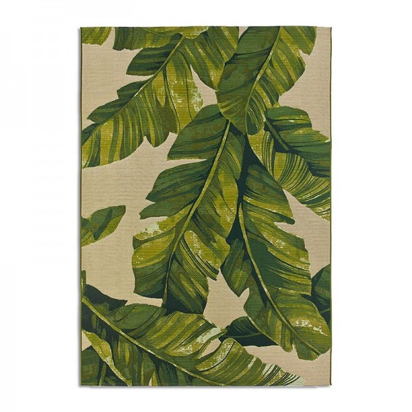 Amazzonia 609X