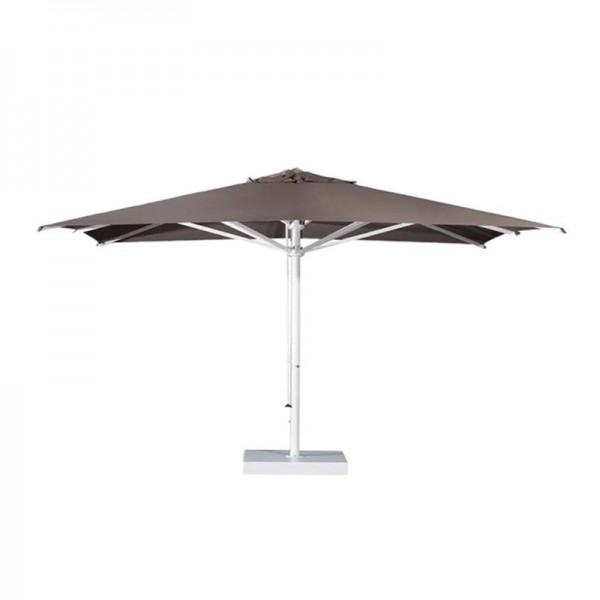 Verona Starwhite