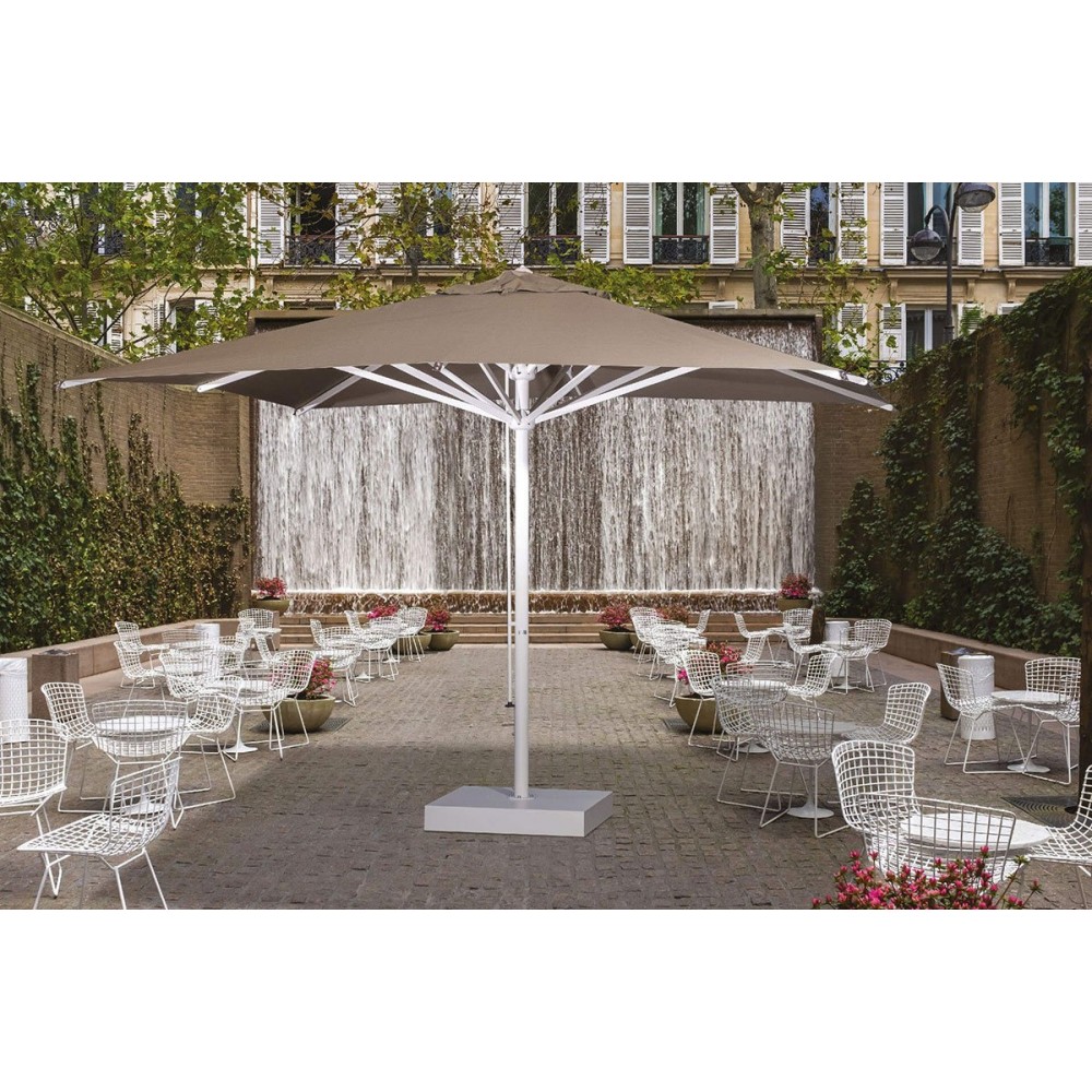 Verona Starwhite