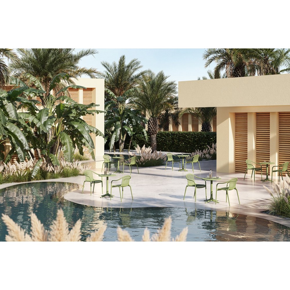 Palm